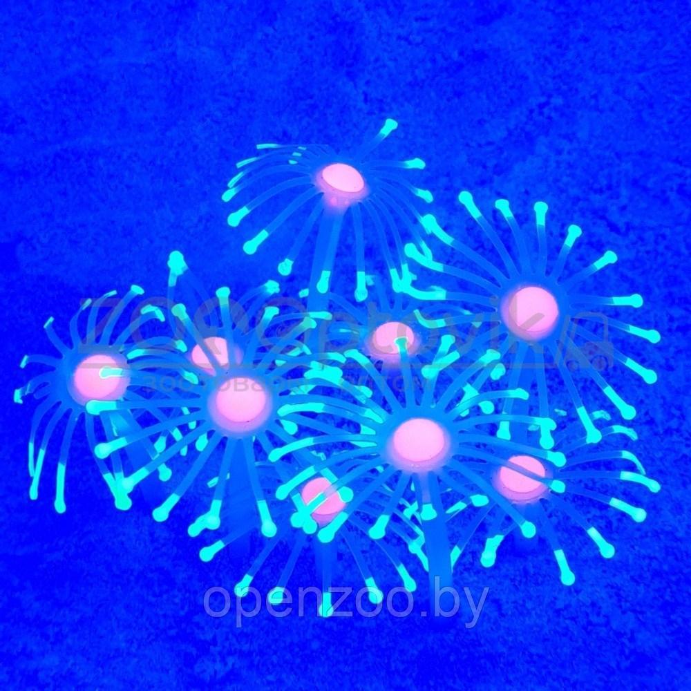 Светящийся декор Грибы прозрачные 12x9x9 Желтый, фото 1