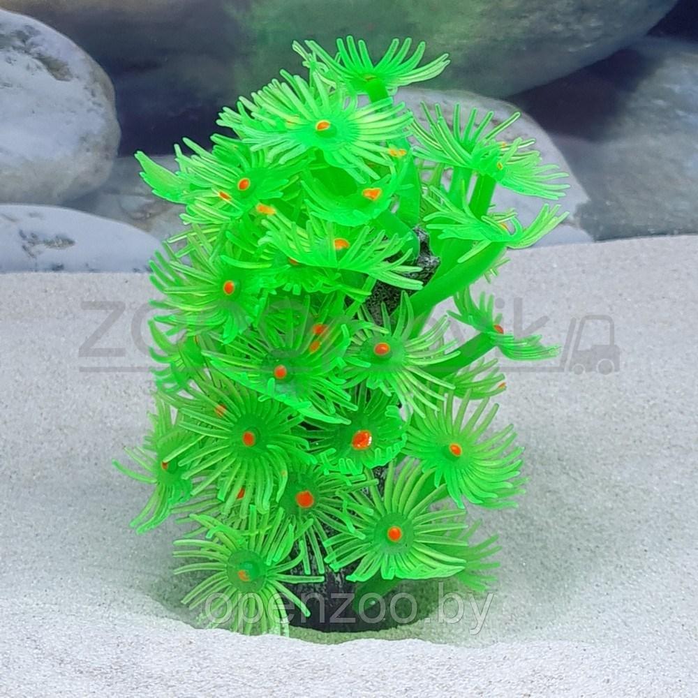Vitality Декор из силикона Коралл зеленый мягкий 7x6x11 см. - фото 2 - id-p182169372