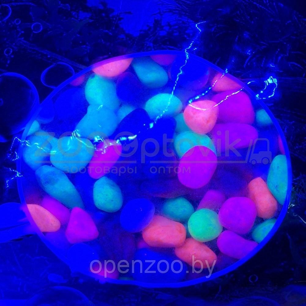 AZOO Галька для аквариума разноцветная, светящаяся 1 - 1.5 см (3 кг) - фото 2 - id-p182169770