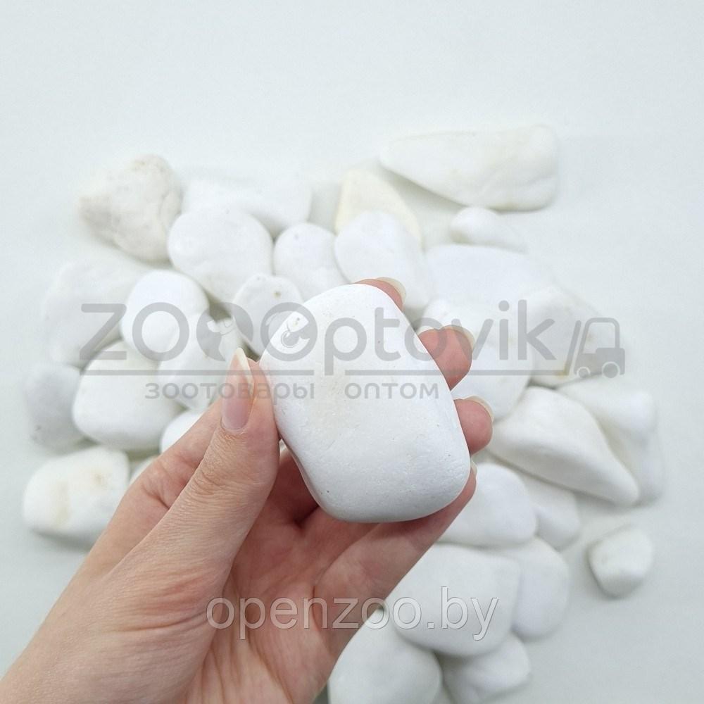 ZooAqua Галька белая Танос 1-2 см для аквариума и террариума - фото 4 - id-p182169797