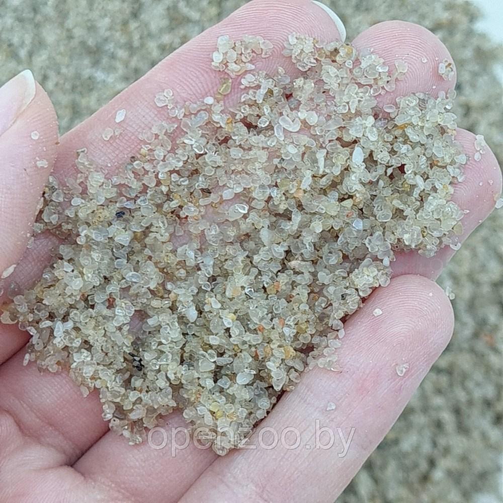 ZooAqua Песок кварцевый для аквариума 0.8-1.2 мм. - фото 2 - id-p182169800