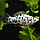 ZooAqua Моллинезия Далматинец (ситцевая-мрамор) 2,5-2.8 см., фото 2