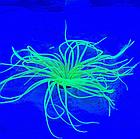 Meijing Aquarium Декор из силикона Коралл желтый светящийся (2.5x2.5x15), фото 2