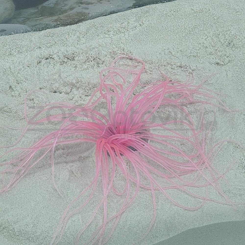 Meijing Aquarium Декор из силикона Коралл розовый мягкий (2.5x2.5x15) - фото 3 - id-p182278107