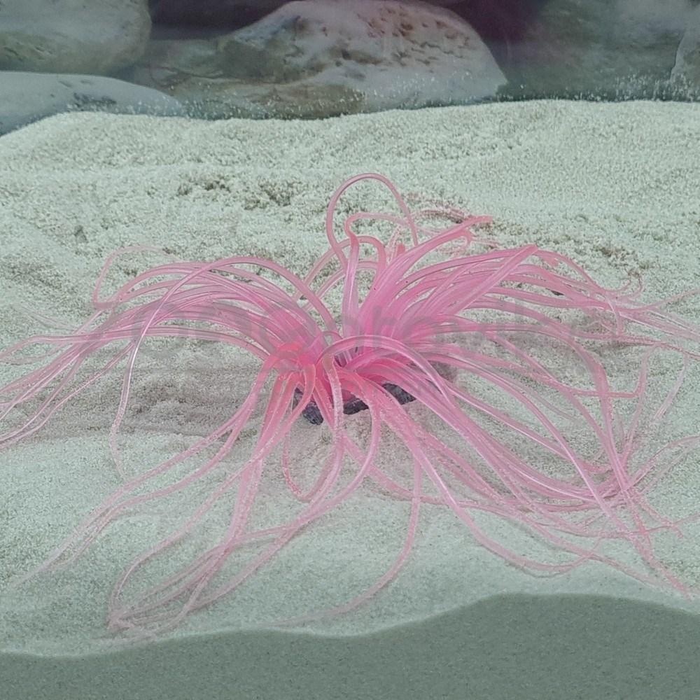 Meijing Aquarium Декор из силикона Коралл розовый мягкий (2.5x2.5x15) - фото 4 - id-p182278107