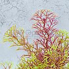 Meijing Aquarium Композиция Скала с растениями 12x7x8 см. (YS-192313), фото 2