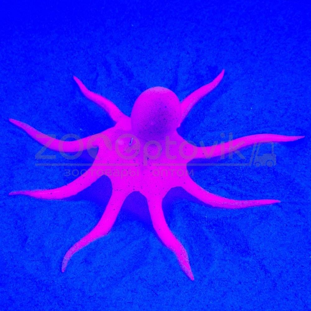 Meijing Aquarium Декор из силикона Осьминог плавающий 9x14 см. светящийся Розовый - фото 2 - id-p182278126