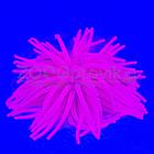 Meijing Aquarium Декор из силикона Коралл мягкий 13x13x10 см. розовый, фото 4