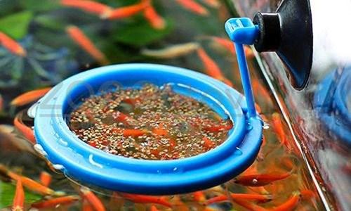 Meijing Aquarium Кормушка для рыб на присоске (круглая) - фото 3 - id-p182278136