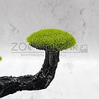 Meijing Aquarium Грот Дерево (22x16x13 см.), фото 2