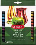 Набор масляной пастели Derwent Academy Oil Pastel 24 цвета (2301953), фото 2