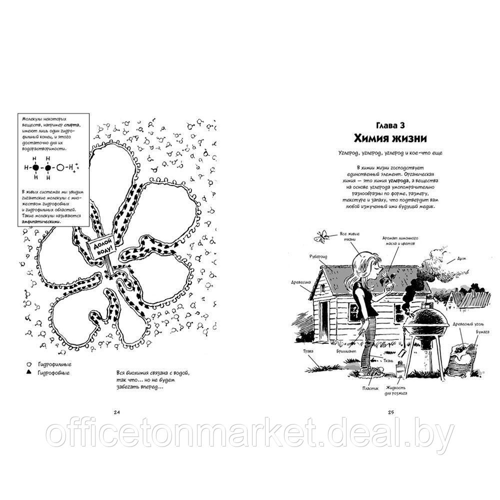 Книга "Биология. Краткий курс в комиксах", Гоник Л., Весснер Д. - фото 7 - id-p171445415