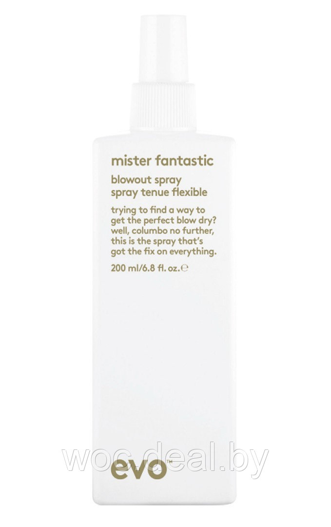 Evo Универсальный стайлинг спрей для укладки для волос Mister Fantastic, 200 мл - фото 1 - id-p182508330