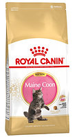 Сухой корм для котят Royal Canin Maine Coon Kitten 10 кг