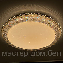Светодиодный светильник 2077/450 WH+BK, фото 3