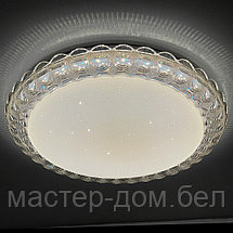 Светодиодный светильник 2077/450 WH+BK, фото 3