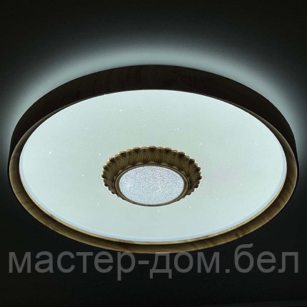 Светодиодный светильник 2090/450 WH+WD, фото 2