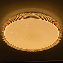 Светодиодный светильник 2095/450 WH+GD RGB, фото 3