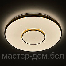 Светодиодный светильник 2096/350 WH+CR, фото 2