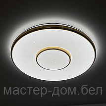Светодиодный светильник 2096/350 WH+CR, фото 3