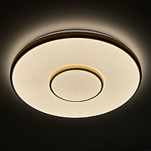 Светодиодный светильник 2096/450 WH+CR, фото 2