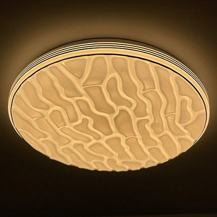 Светодиодный светильник 2158/450 WH+CR RGB, фото 2