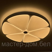 Светодиодный светильник 2169/350 WH+CR, фото 2
