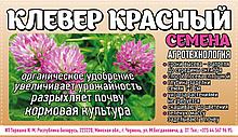 Клевер красный 0,2кг