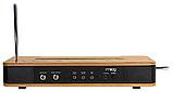 Терменвокс Moog Etherwave Theremin, фото 5