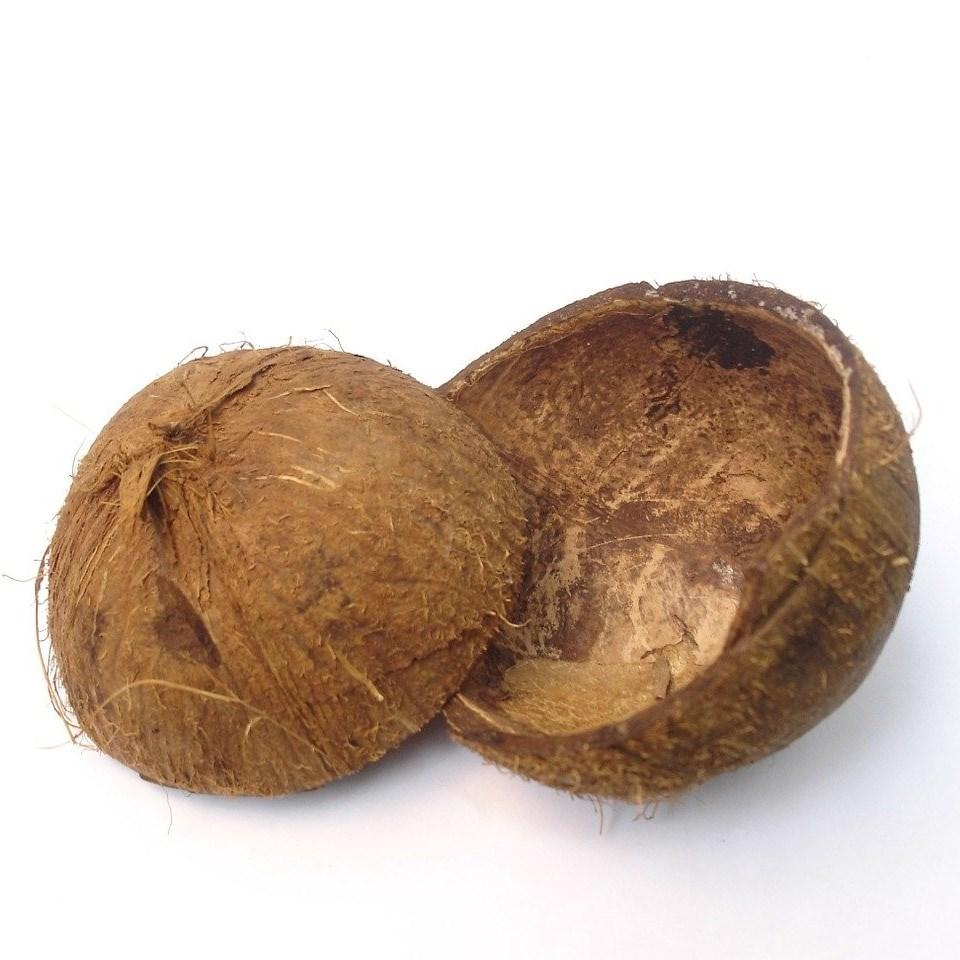 Скорлупа кокосового ореха (половинка) (Остаток 9 шт !!!)