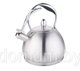 Чайник металлический со свистком 3л Zigen ZG-1005 - фото 1 - id-p182761139