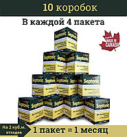 Набор энзимов для септиков, выгребных ям, дачных, уличных туалетов. Septonic 10 коробок.(Доставка БЕСПЛАТНО)