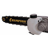 Бензиновый высоторез Champion PP125 (0,75 кВт, 25,4 куб.см, 2,94-4,24 м), фото 4