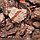 Кора сосны - мульча сосновая, фракция 50-130мм, 50 л., фото 2