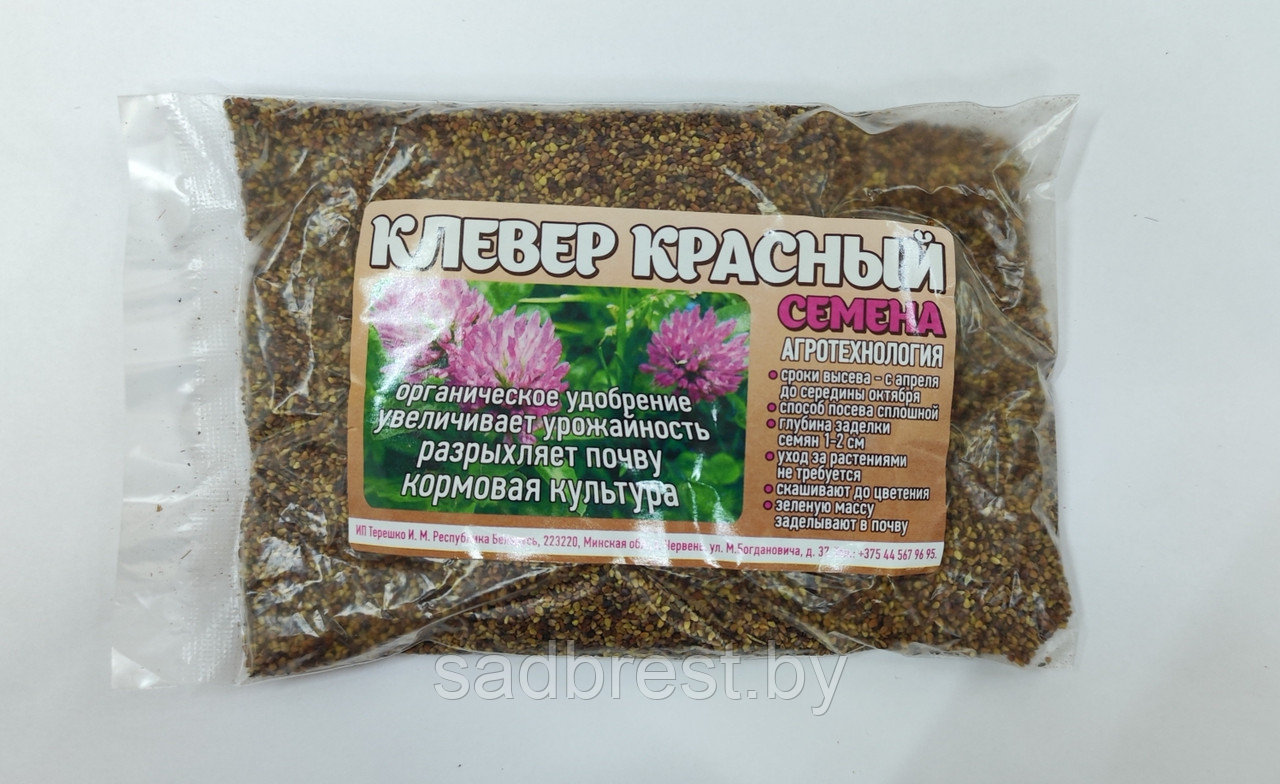 Cемена Клевер красный луговой сидерат, медонос (200 гр)