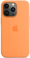 Чехол-накладка Apple Silicone Case With MagSafe для iPhone 13 Pro / MM2D3