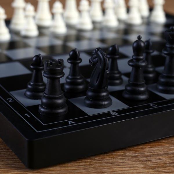 Игра Лесная мастерская Шахматы, магнитная доска - фото 4 - id-p182939933