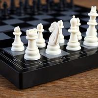 Игра Лесная мастерская Шахматы, магнитная доска