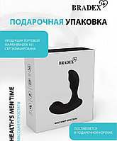 Секс игрушка для взрослых Health's Men Time (Prostate Vibrator / black) массажер простаты, фото 8