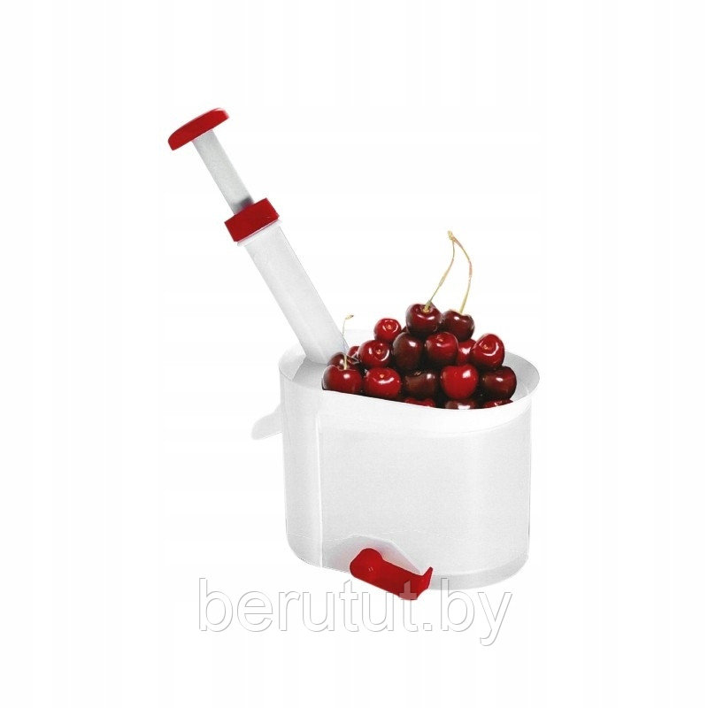 Машинка для удаления косточек из вишни и оливок "Helfer Hoff" / Отделитель косточек вишни, оливок, черешни - фото 5 - id-p182982169