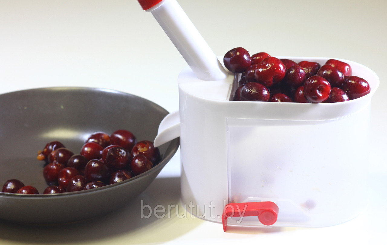 Машинка для удаления косточек из вишни и оливок "Helfer Hoff" / Отделитель косточек вишни, оливок, черешни - фото 8 - id-p182982169
