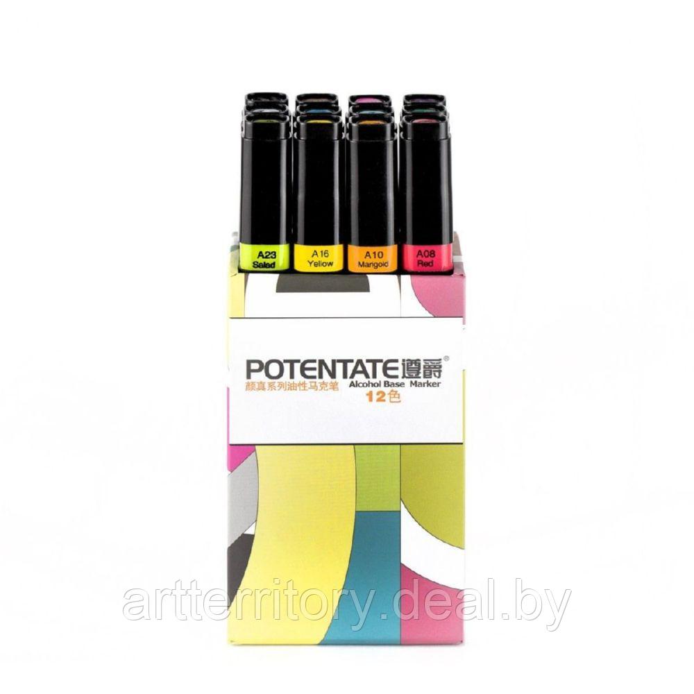 Набор маркеров на спиртовой основе Potentate, 12 штук - фото 1 - id-p183010120