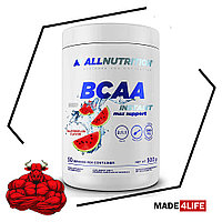 Аминокислоты с глютамином BCAA Max Support Instant 500 гр Allnutrition Арбуз