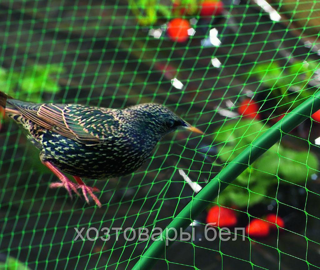 Сетка пластиковая для защиты от птиц, 2х5м, "GARDEN LINE" Польша - фото 2 - id-p183106457