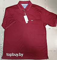 Рубашка-поло, с логотипом Lacoste.