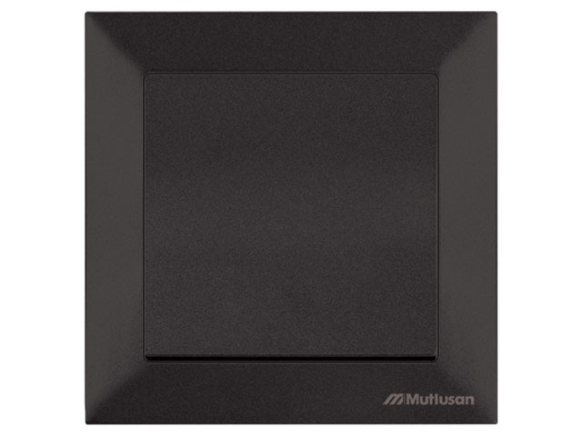 Выключатель 1-клав. (скрытый, винт. зажим) черный, DARIA, MUTLUSAN (10 A, 250 V, IP 20) - фото 1 - id-p183249143