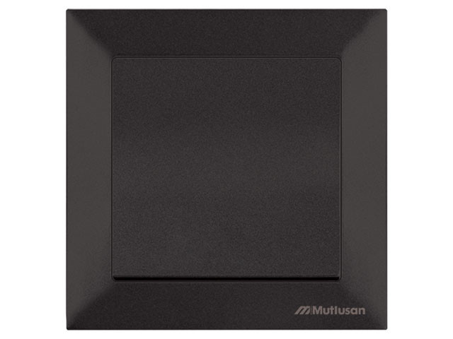 Выключатель 1-клав. двухполюсный (скрытый, винт. зажим) черный, DARIA, MUTLUSAN (10 A, 250 V, IP 20) - фото 1 - id-p183249160