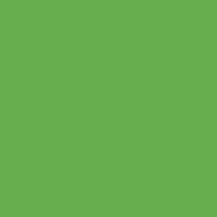 Картон Folia 50х70см., 300г/м2 (зеленая трава)