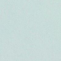 Паспарту в индивидуальной упаковке 6,5х9 (10х15) (голубой)