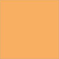 Маркер акварельный двухсторонний "ZIG CLEAN COLOR f" (оранжевый флуоресцентный )